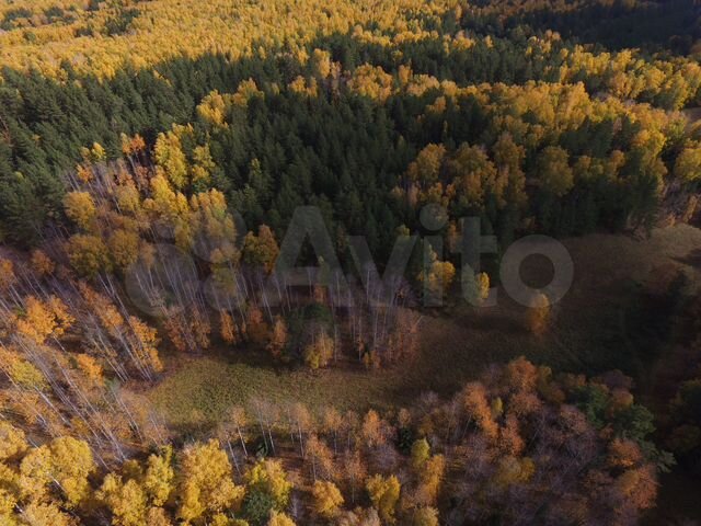 Участок 3,71 га (СНТ, ДНП)