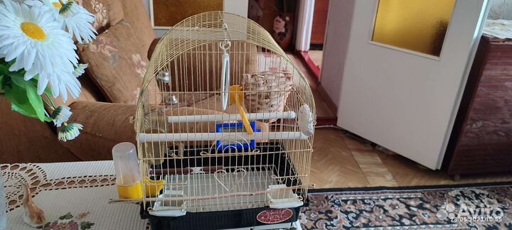 Клетка для птиц