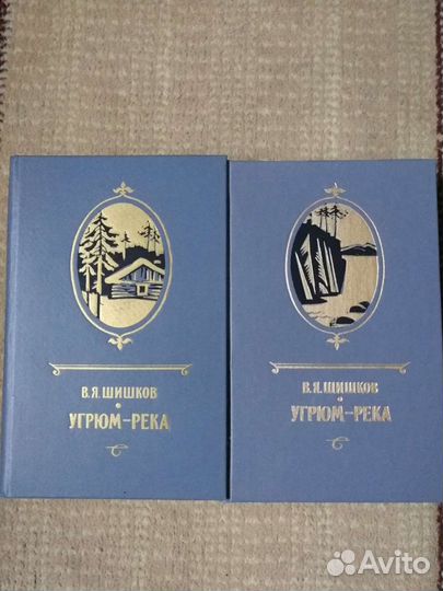 Роман 