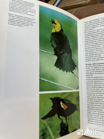 Живой мир рек