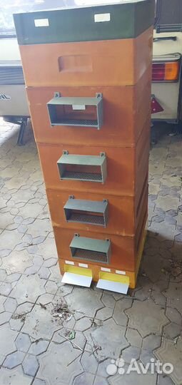 Ульи, медогонка, воскотопка и другое для пчеловод