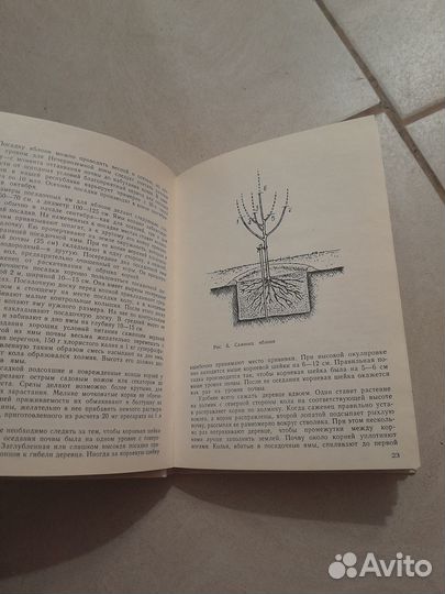 В помощь садоводу и овощеводу