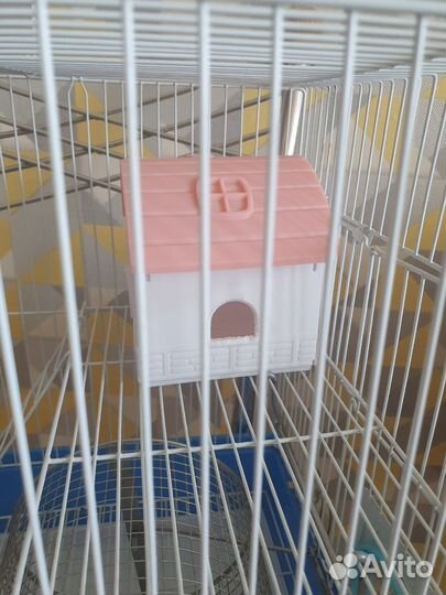 Клетка для хомяка