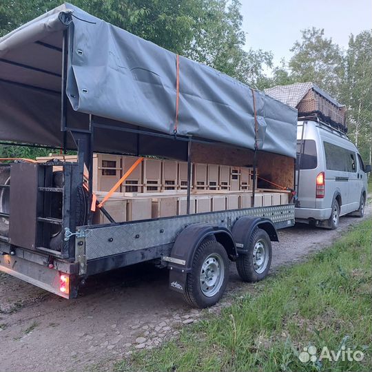 Продам пчелосемьи