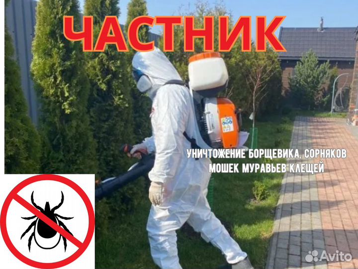 Уничтожение сорняков борщевика