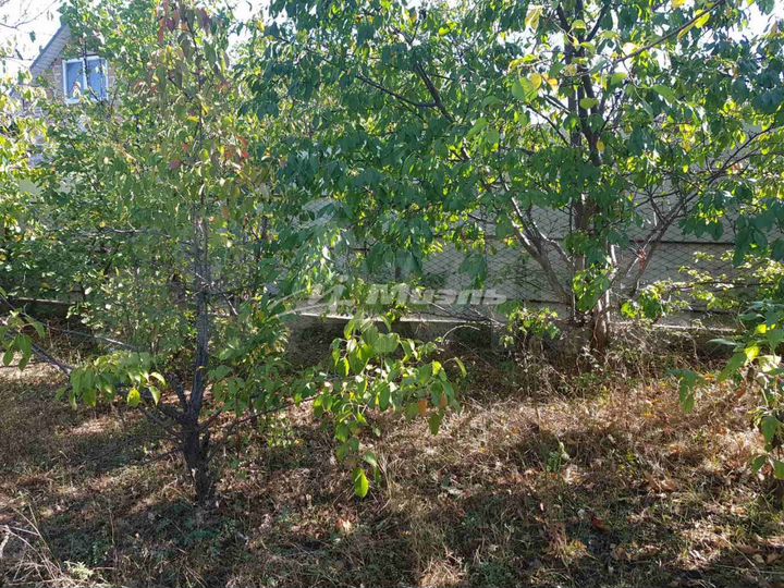 Участок 4 сот. (СНТ, ДНП)