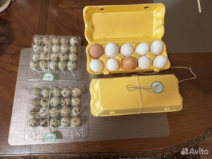 Яйцо перепелиное (куриное) домашнее