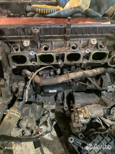 Двигатель ford focus 2 1.8 qqdb