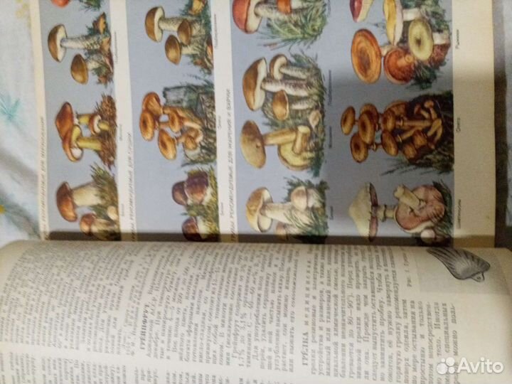 Книги Энциклопедия домашнего хозяйства СССР