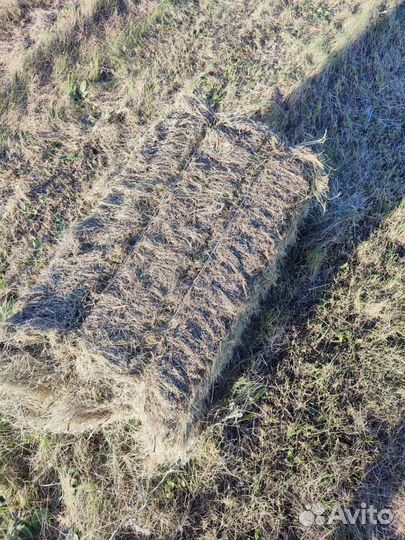 Продажа сена в тюках