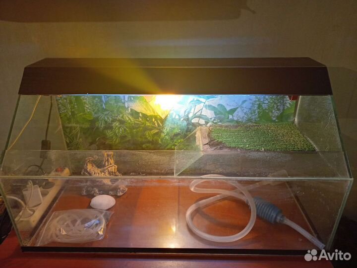 Аквариум