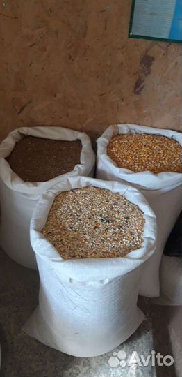 Зерно Корма Комбикорма купить сено
