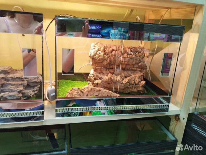 Террариум для рептилий разнообразные