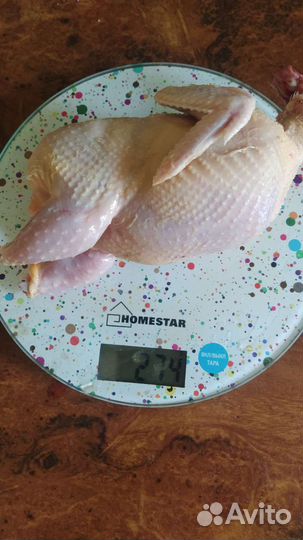 Перепелиное мясо