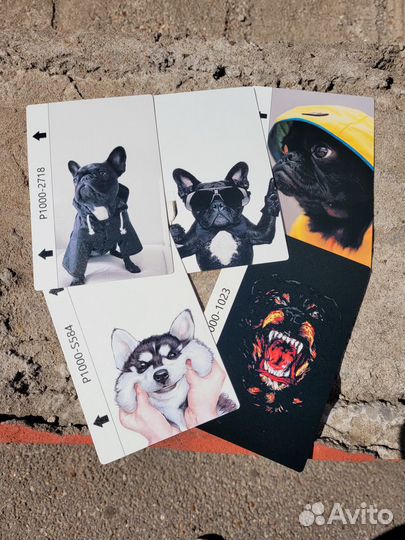 Защитная пленка на телефон