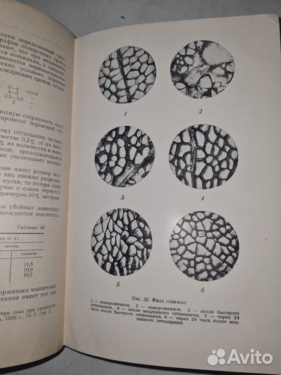 Лобанов Д.И. Технология приготовления пищи. 1951