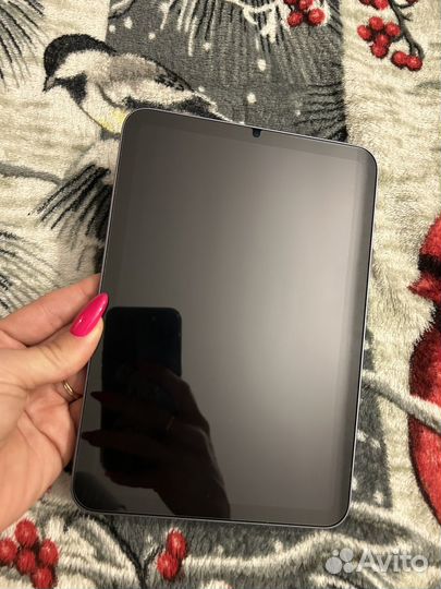 iPad mini 6 256 wi fi