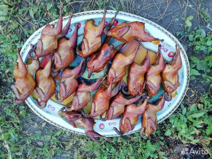 Копченые перепела (наличие)