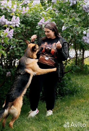 Кинолог/зоопсихолог/выгул