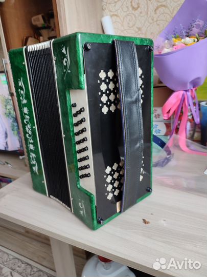 Гармонь тальянка казань