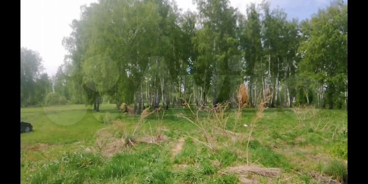 Участок 10,9 сот. (СНТ, ДНП)