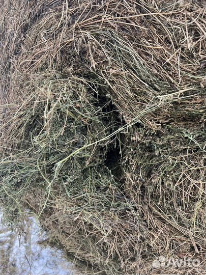 Сено в рулонах