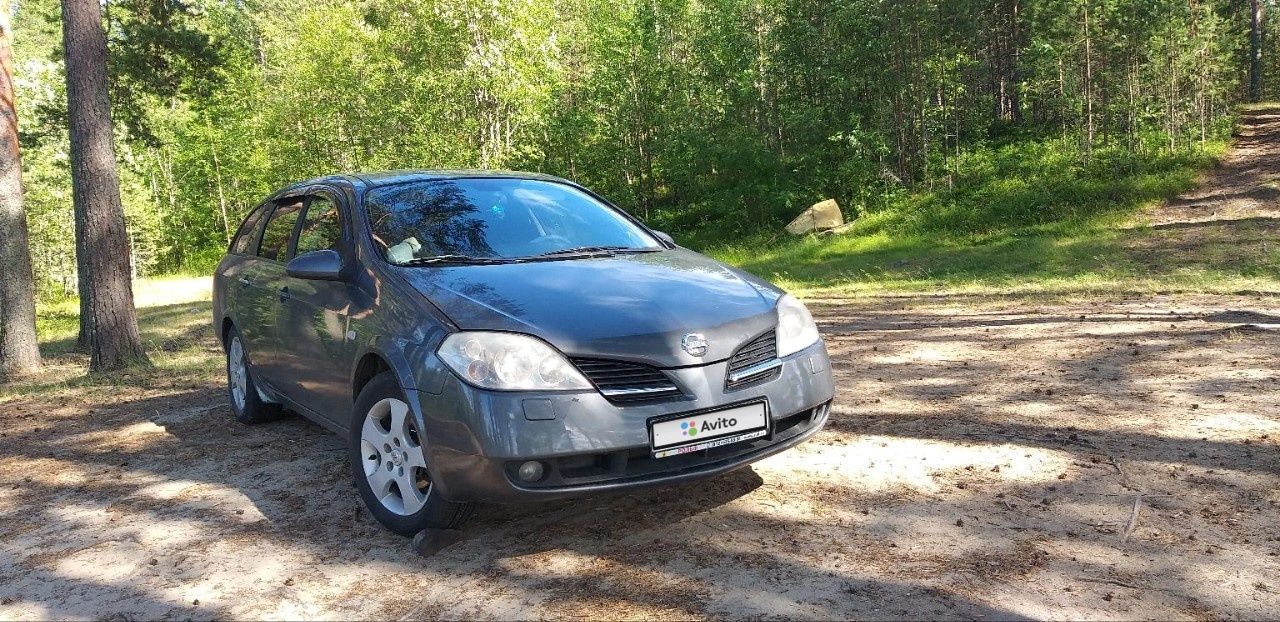 Nissan Primera: фото владельца