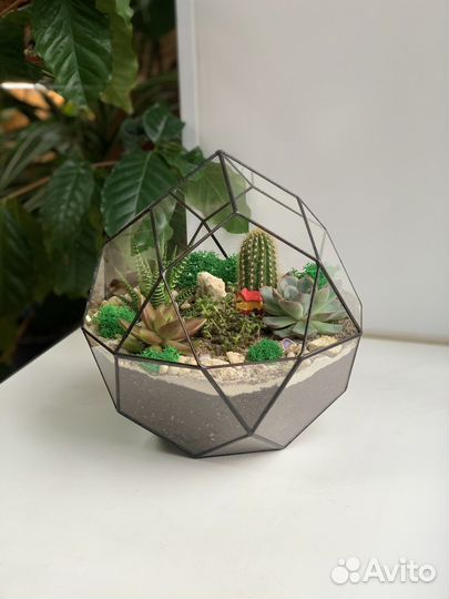 Флорариум с суккулентами