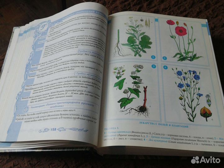 Большая энциклопедия народной медицины