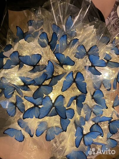 Букет из бабочек