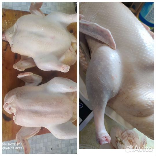 Мясо.бройлеров