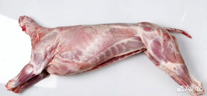 Мясо баранины