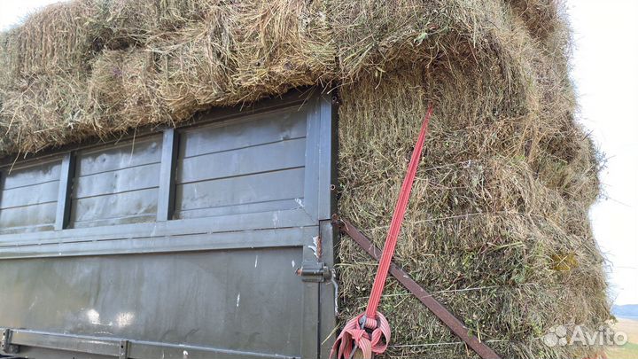 Сено и солома