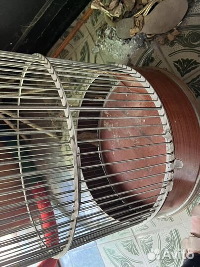 Клетка для попугая