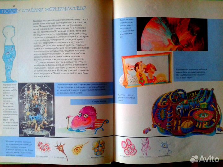 Анатомия человека в картинках Г.Юдин 2004