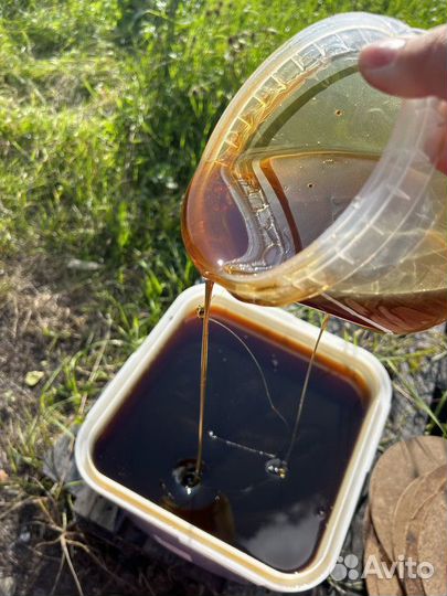 Мед Гречишный опт