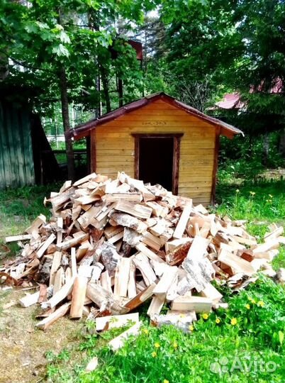 Дрова Береза от производителя