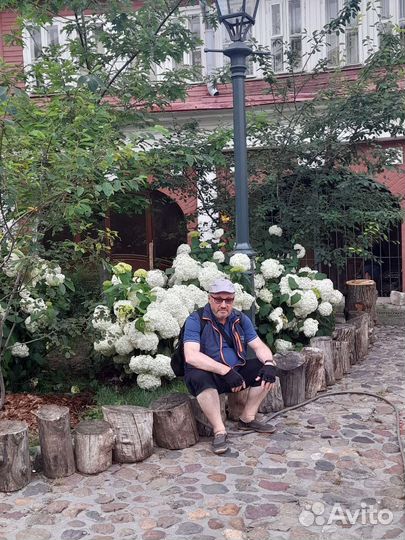 Геодезист, старший Геодезист, главный Геодезист