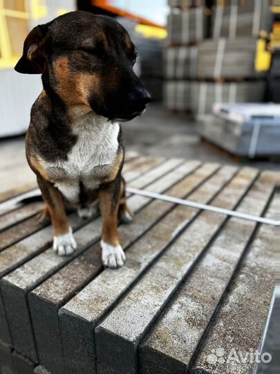 Тротуарная плитка и поребрик заказ от 120 м2