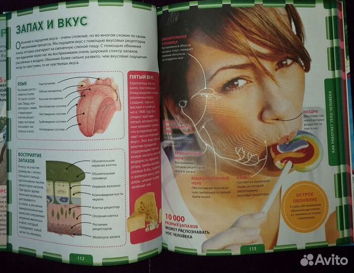 Детская энциклопедия