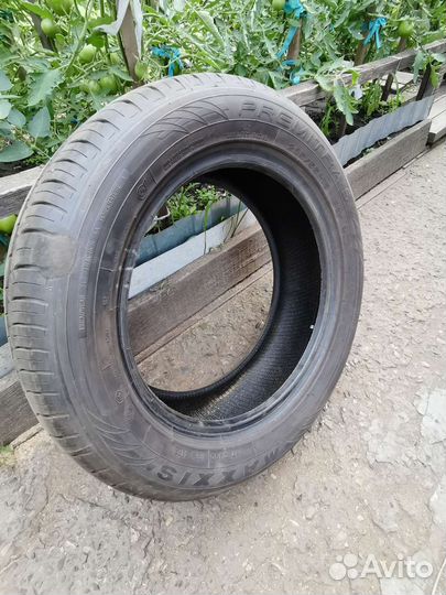 Maxxis Premitra HP5 205/55 R16 91W