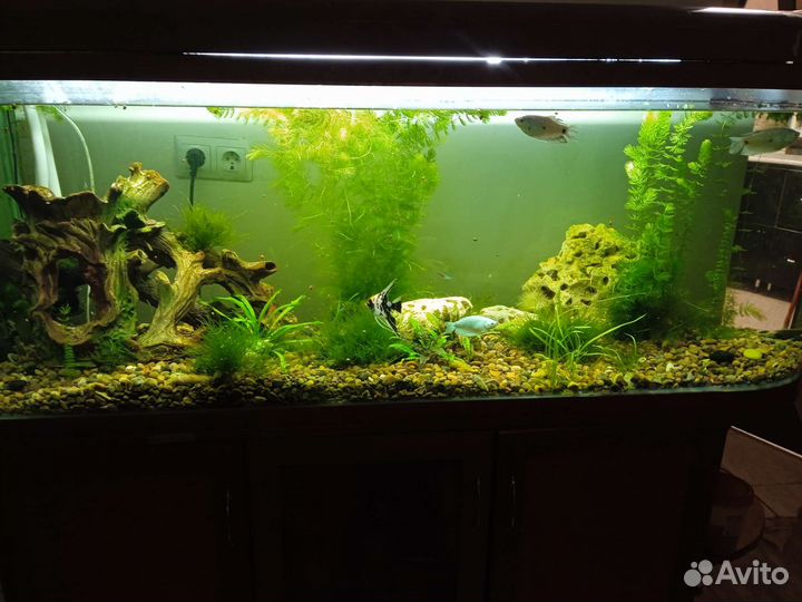 Продам аквариум