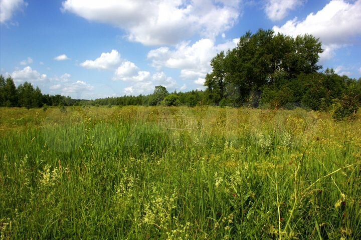 Участок 13,77 га (ИЖС)