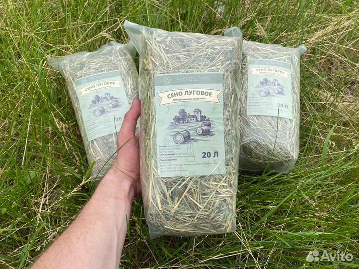 Сено в брикетах оптом