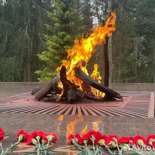 Экскурсия для школьников на Партизанскую поляну
