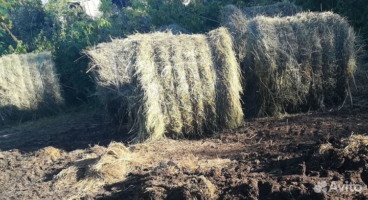 Сено в рулонах