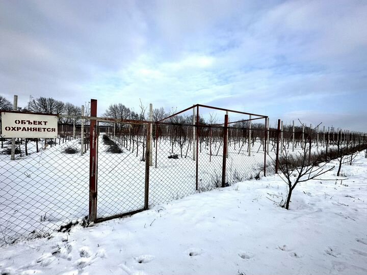 Участок 1,4 га (СНТ, ДНП)