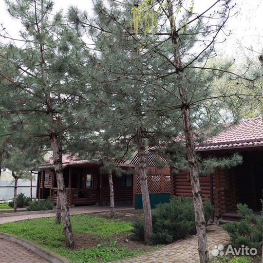 Аренда дома на берегу реки Дон (х. Калинин)