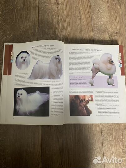 Книги про собак