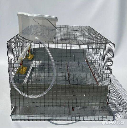 Новые клетки для кур несушек